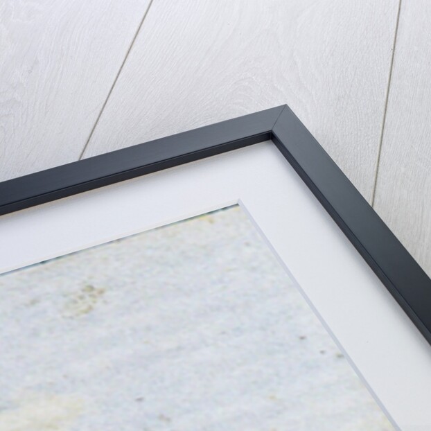 The Theater an der Wien, Vienna, Early 19th century by Anonymous