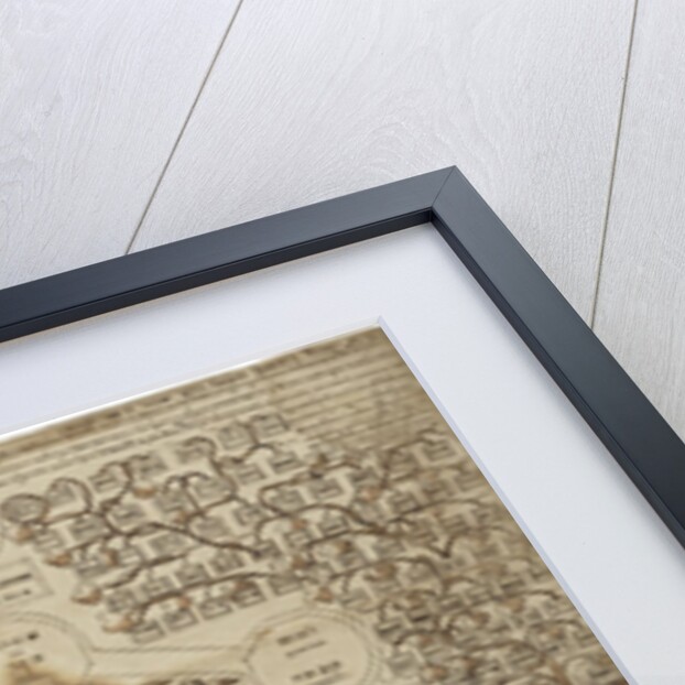 Arbor Cabalistica (Kabbalistic Tree), ca 1625 by Anonymous