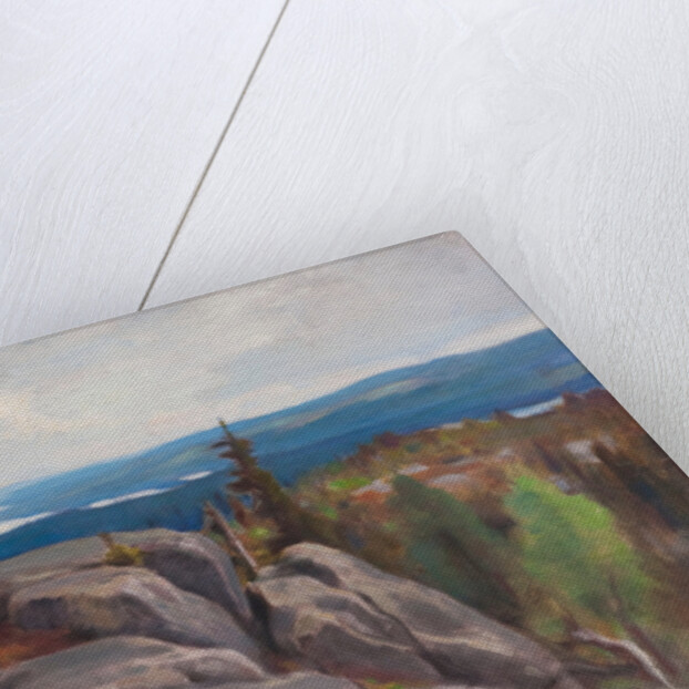 Landscape (Maisema Kolilta), 1929 by Eero Järnefelt