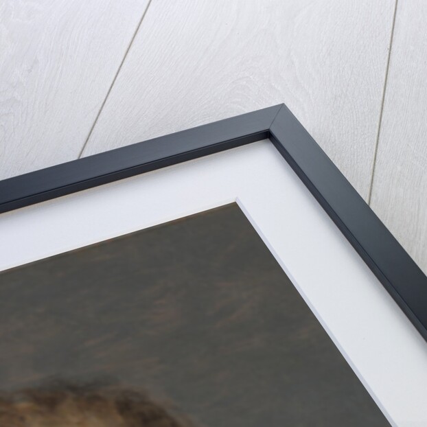 Portrait of Prince Aloys Wenzel von Kaunitz-Rietberg by Francisco de Goya