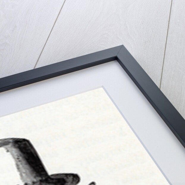 Pocahontas, 1882 by Anonymous