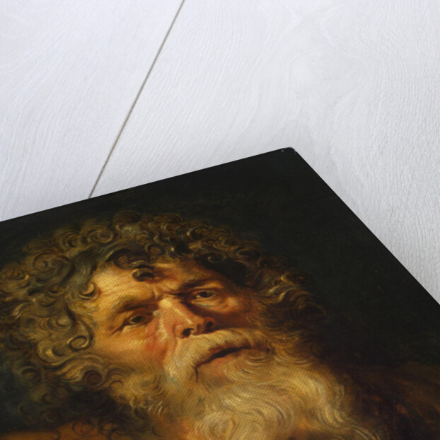 Head of an Old Man. Study for The Crown of Thorns (Ecce Homo), c. 1612 by Pieter Paul Rubens