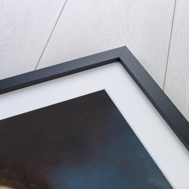 Portrait of Prince Jakub Ludwik Sobieski, 1690s by Henri Gascar