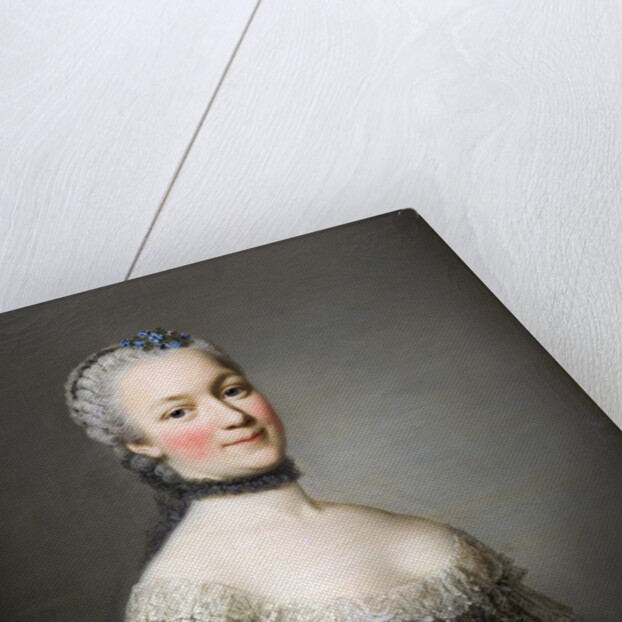 Portrait of Katarzyna Mniszech, née Zamoyska, 1753 by Alexander Roslin