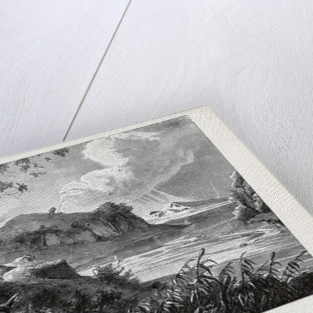 Romulus and Remus, 1882 by Anonymous