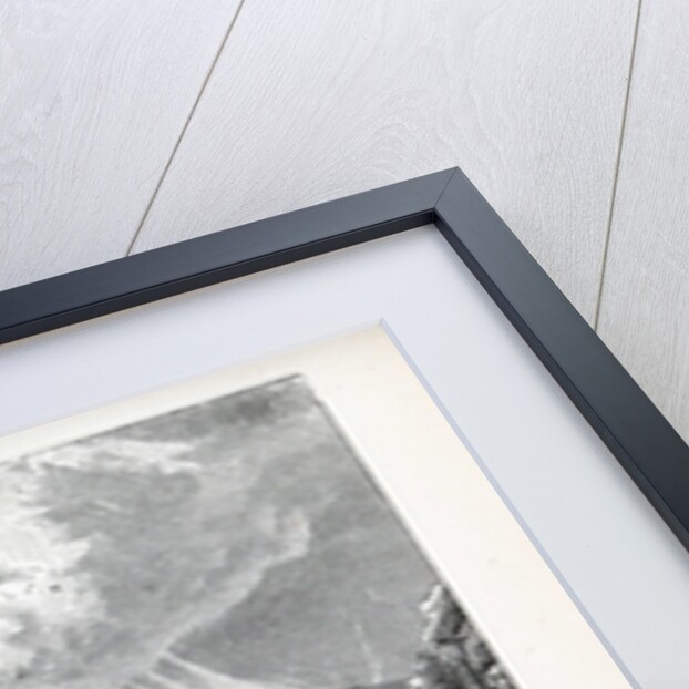 Romulus and Remus, 1882 by Anonymous