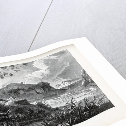 Romulus and Remus, 1882 by Anonymous