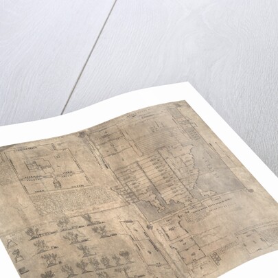 Aztec Oztoticpac map, c.1540 by Pre-Columbian art