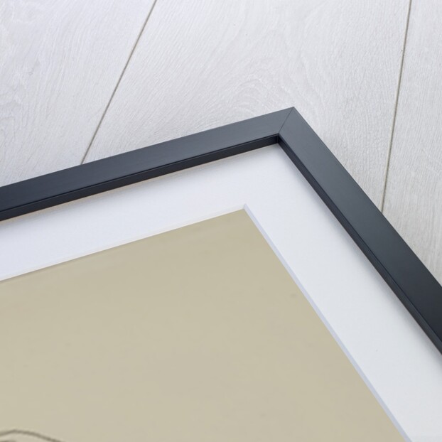 Seated Nude, 1917 by Egon Schiele