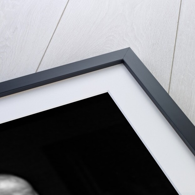 Don Weller by Brian O'Connor