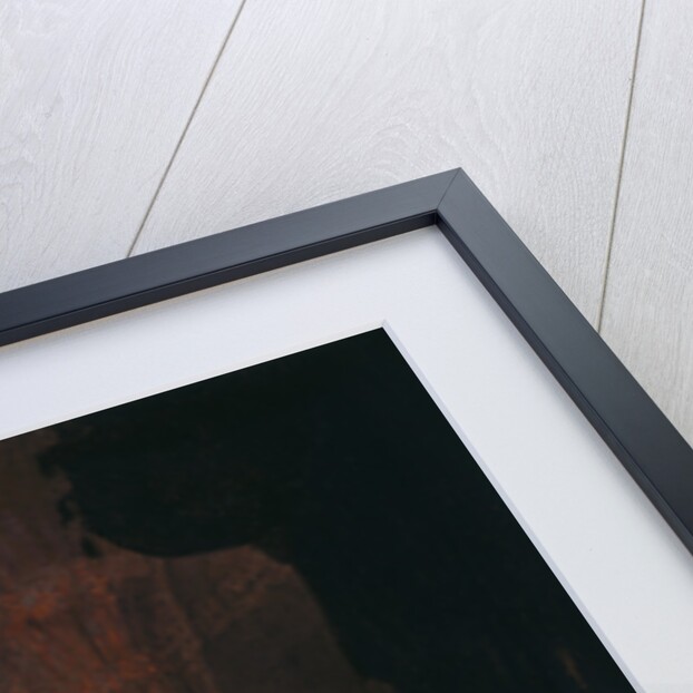 Simeons song of praise, 1631 by Anonymous