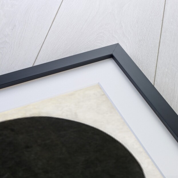 Plane in Rotation, called Black Circle, 1915 by Anonymous