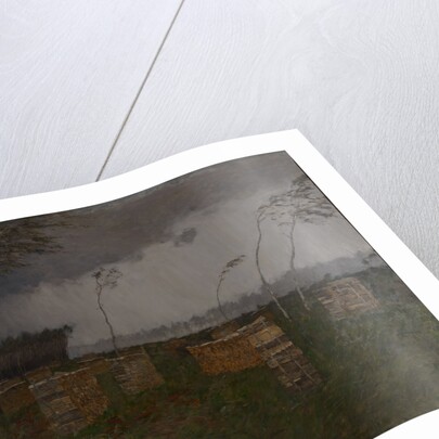 Storm, Rain, 1899 by Anonymous