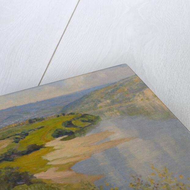 Oka River in Summer, 1890s by Anonymous