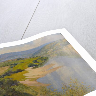 Oka River in Summer, 1890s by Anonymous