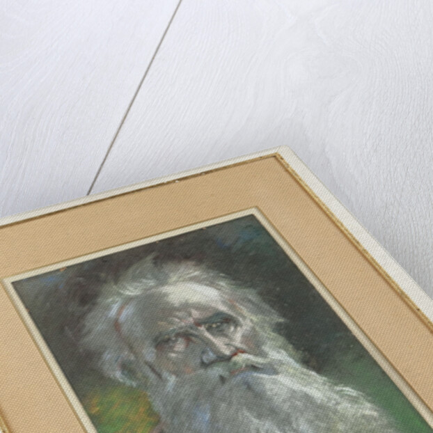 Portrait of the author Count Lev Nikolayevich Tolstoy by Anonymous