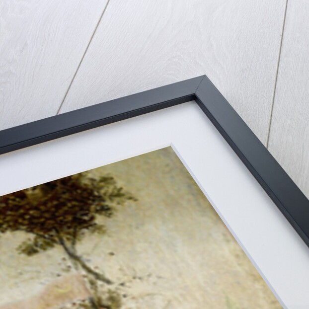 The Ship of Fools by Anonymous