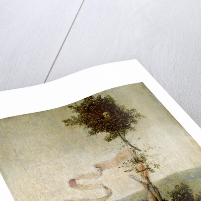 The Ship of Fools by Anonymous