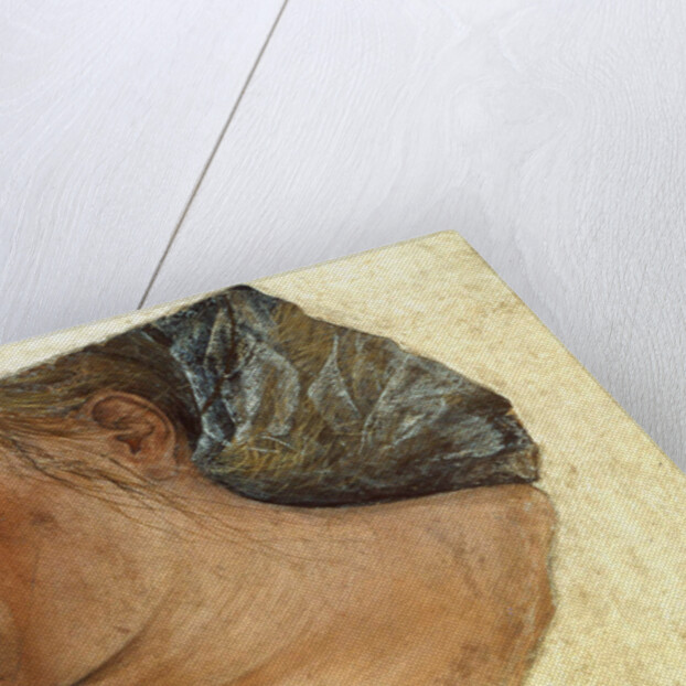 Mary Magdalene Weeping by Anonymous