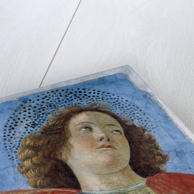 Head Of A Young Apostle by Anonymous