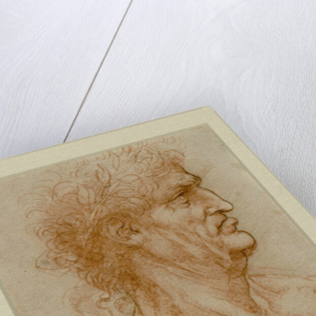 Head Of A Man In Profile Crowned With Laurel by Anonymous