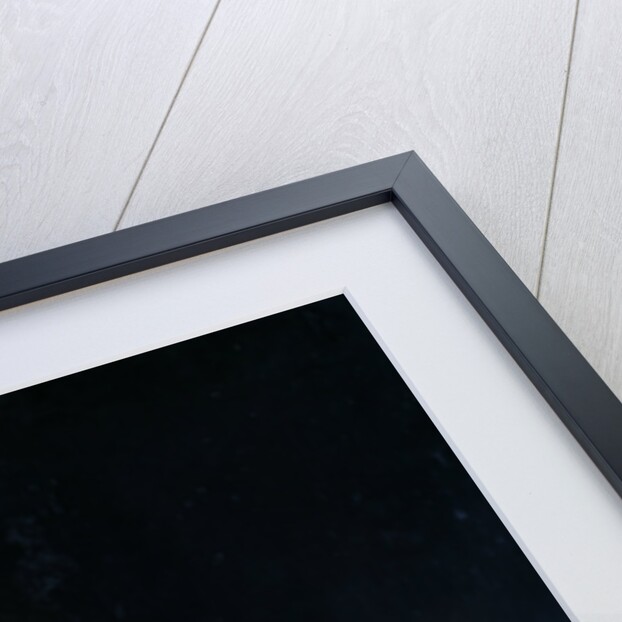 The Lute Player by Anonymous