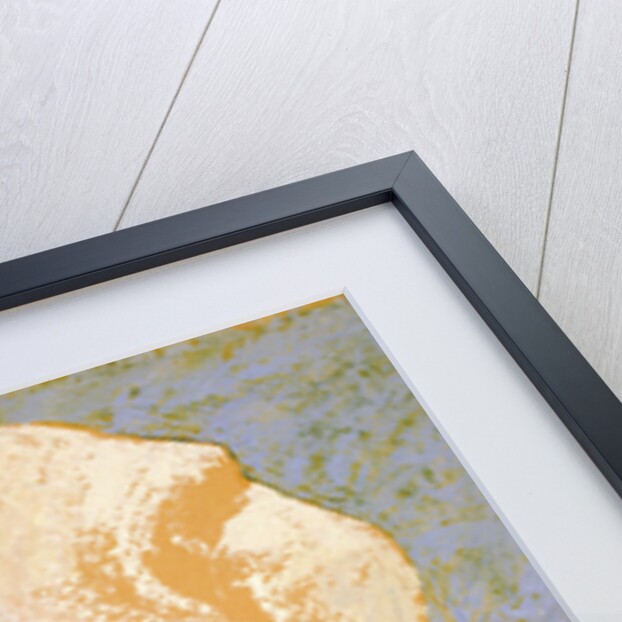 Mountain by Anonymous