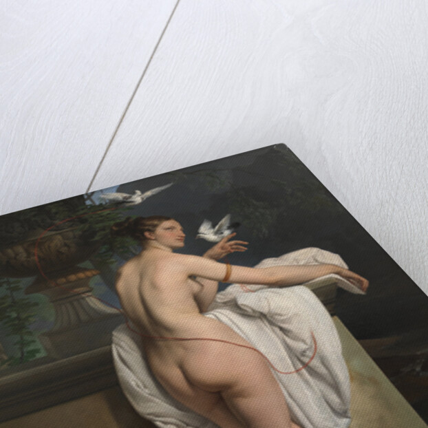 Venus Playing with Two Doves (Portrait of the Ballerina Carlotta Chabert) by Anonymous