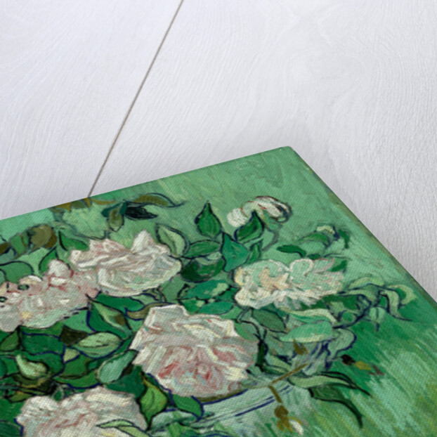 Pink Roses by Anonymous