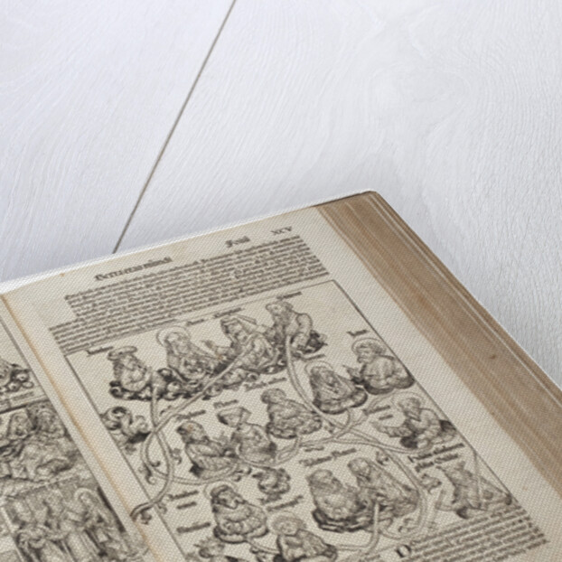 (from the Schedels Chronicle of the World) by Anonymous