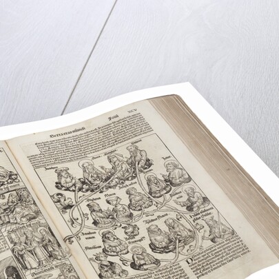 (from the Schedels Chronicle of the World) by Anonymous