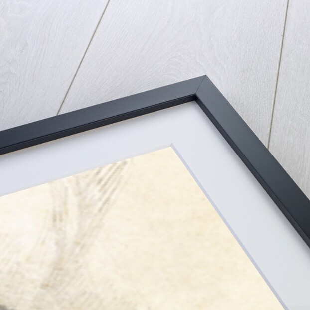 Portrait of Charlotte of Mecklenburg-Strelitz, wife of King George III of England by Anonymous