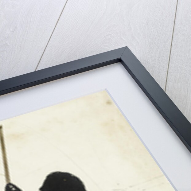 Portrait of Niccolò Paganini by Anonymous