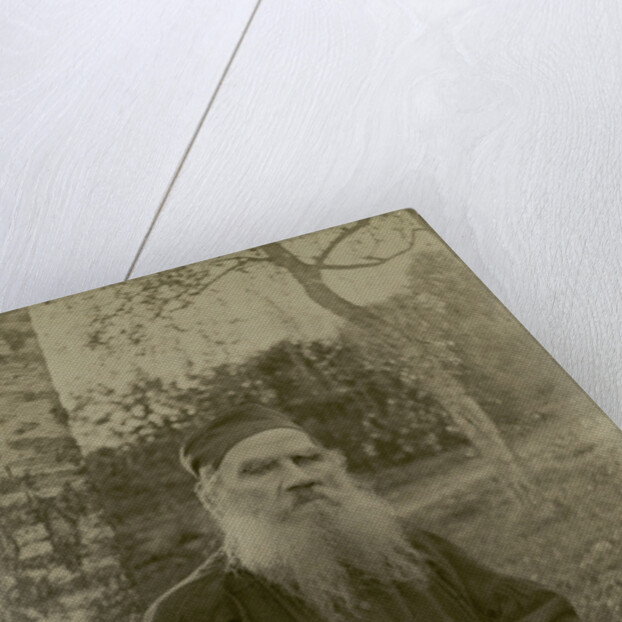Portrait of the author Count Lev Nikolayevich Tolstoy by Anonymous