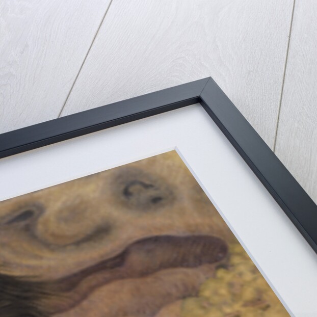 The Tempest (La Tempesta) by Anonymous