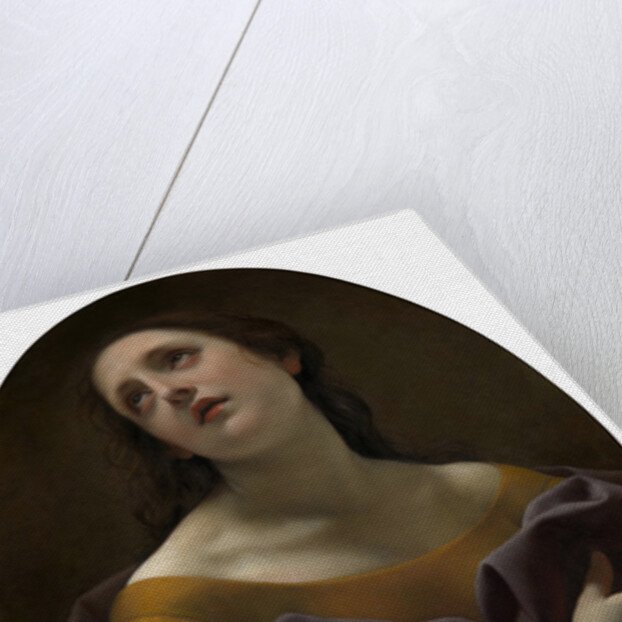 Allegory of patience by Anonymous