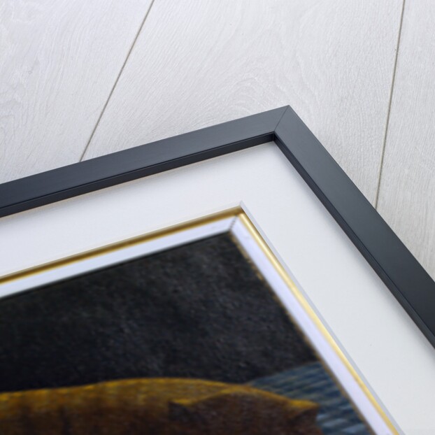 Red Cat by Anonymous