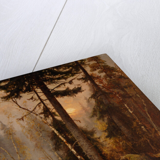 Forest Thicket by Anonymous