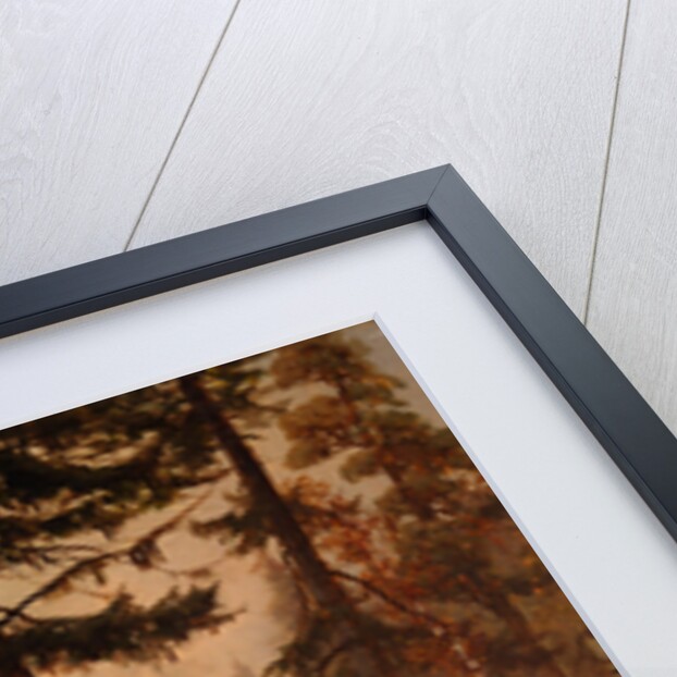 Forest Thicket by Anonymous