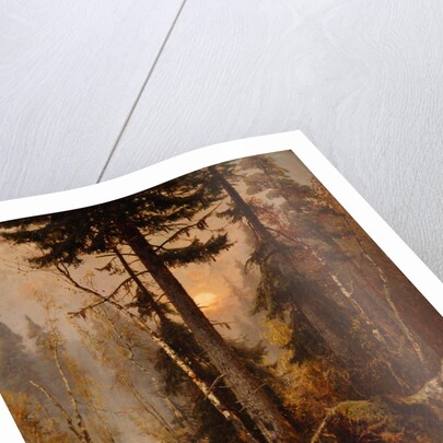 Forest Thicket by Anonymous