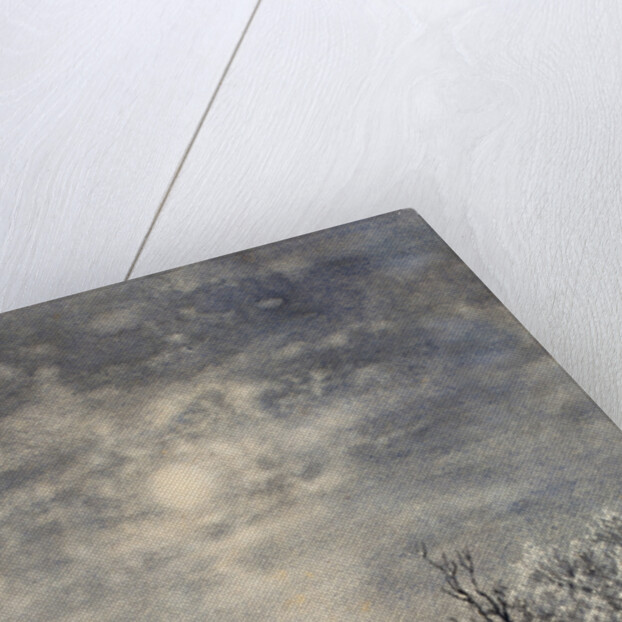 The Pushkins duel place by Anonymous