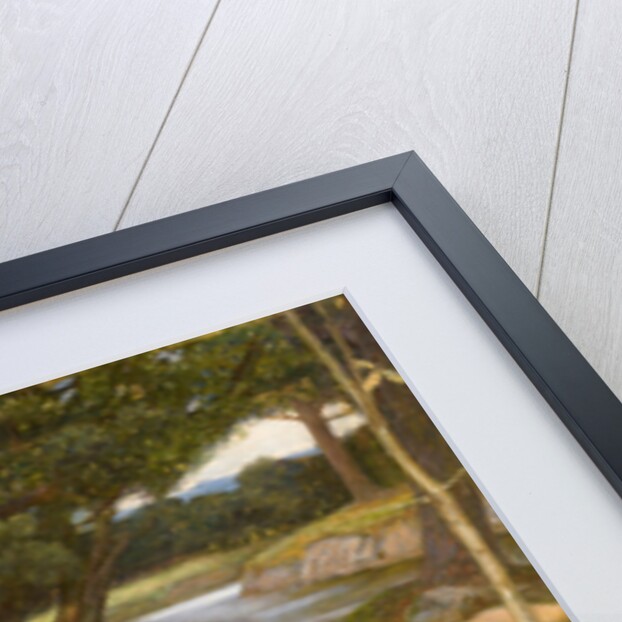 Narcissus and Echo by Anonymous