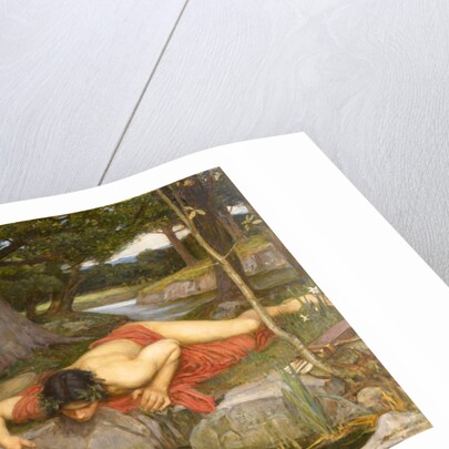 Narcissus and Echo by Anonymous