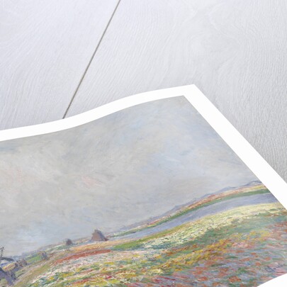 Tulip fields near The Hague by Anonymous