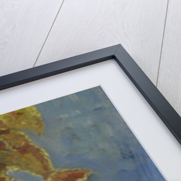 Flame Nettle in a Flowerpot by Anonymous