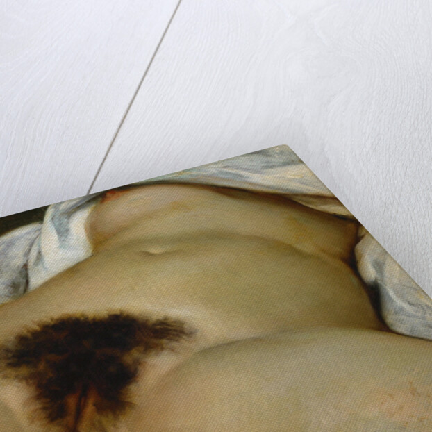 The Origin of the World (LOrigine du monde) by Anonymous