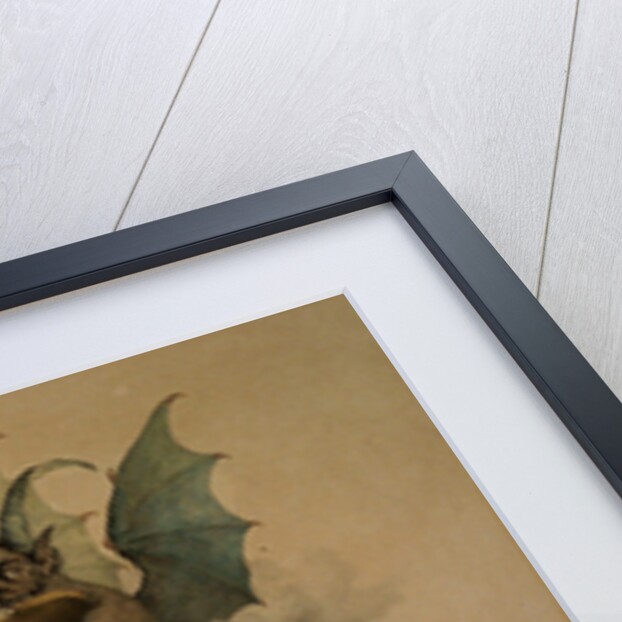 Tartinis Dream. Devils Trill Sonata by Anonymous