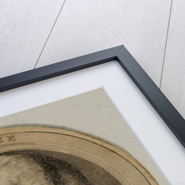 Portrait of the composer Nicolas Roze by Anonymous