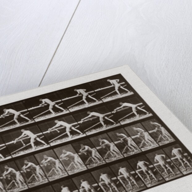 Man planing wood, Plate 379 from Animal Locomotion, 1887 by Anonymous