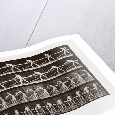 Man planing wood, Plate 379 from Animal Locomotion, 1887 by Anonymous